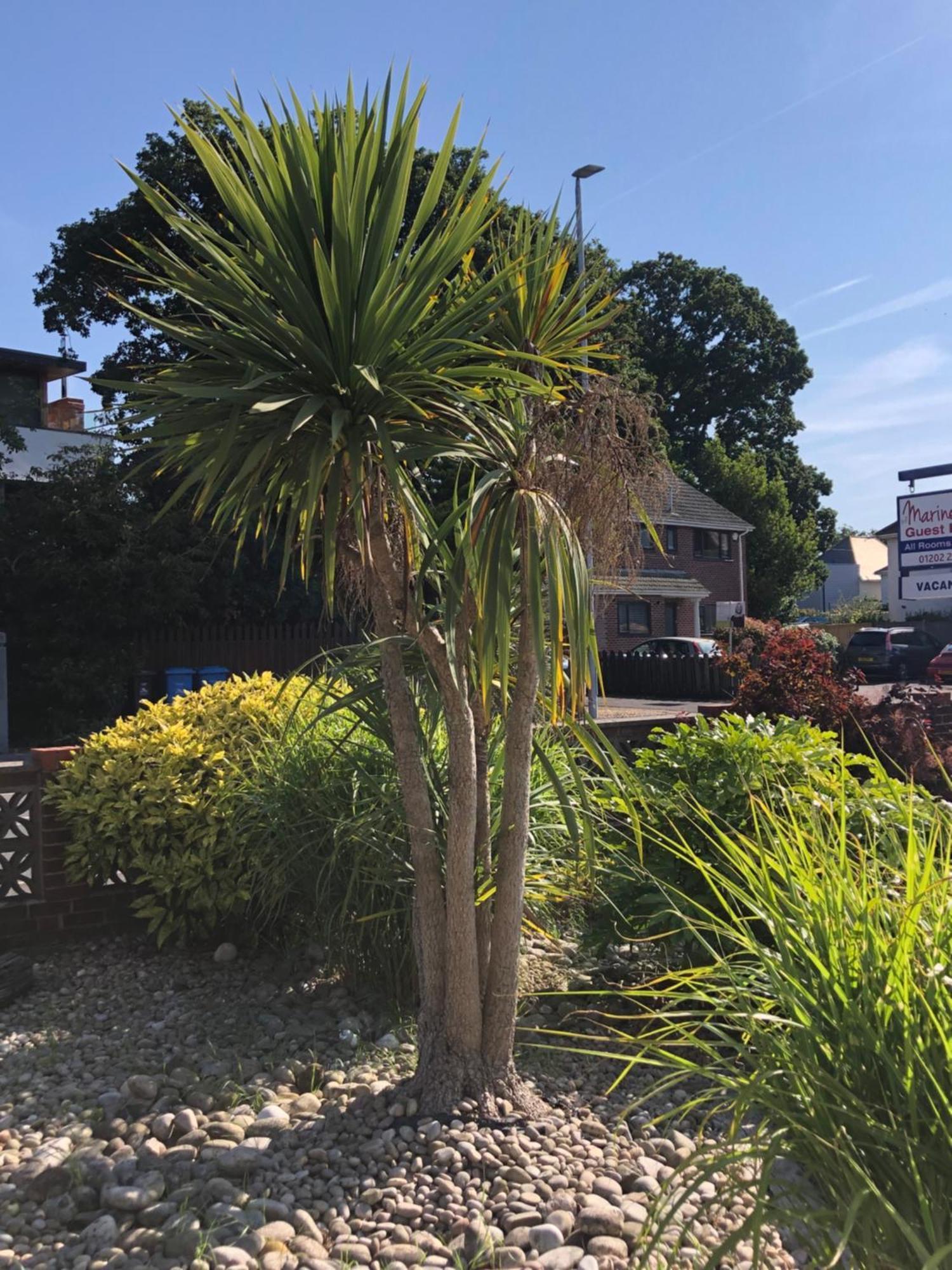 The Mariners Guest House Poole Bagian luar foto
